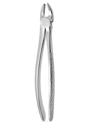 Kleszcze do szczęki górnej 