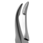 Kleszcze typu weingart KP-904-145-PZMK - 2